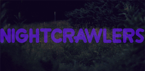nightcrawlers