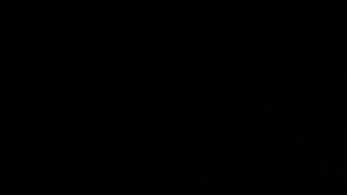 searchpartyseptember