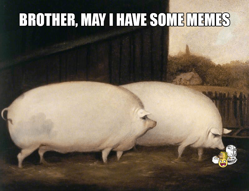 brothermayihavesomememes