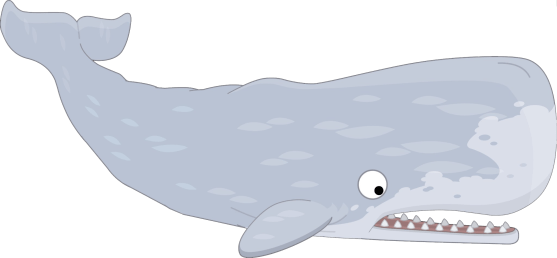 whale